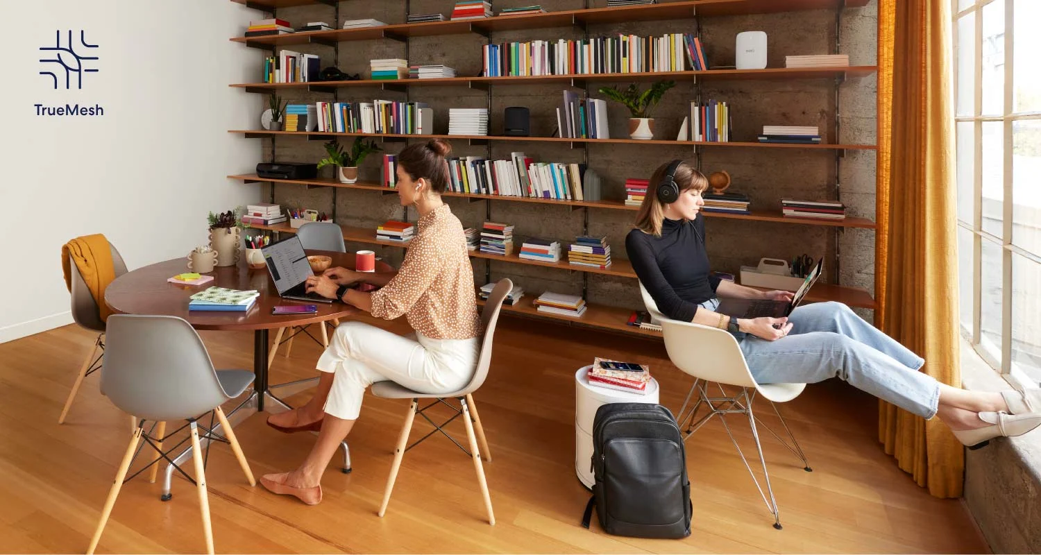 Two people in a library type setting on their computers