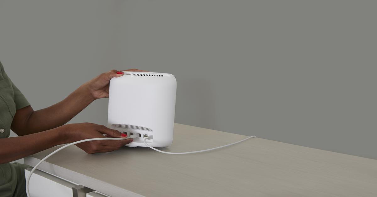 Letting the CAT out of the bag: Introducing eero Ethernet cables
